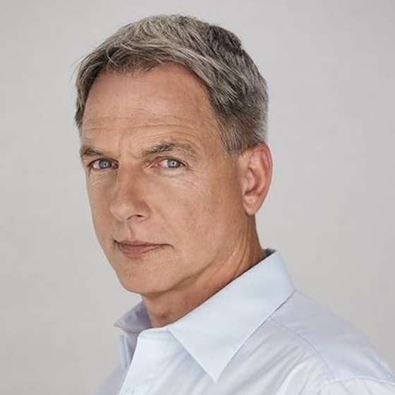 c9aijm2eiausgnab695vl4e69d. SY450 CR00450450